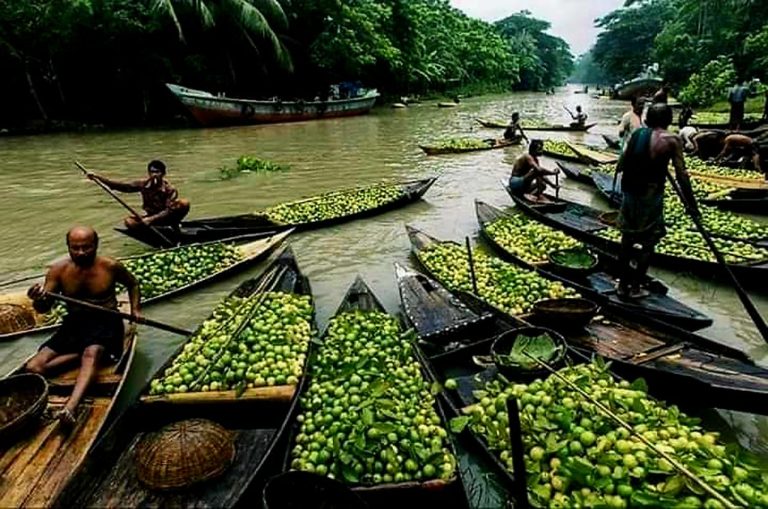 সাজেক বা কক্সবাজার নয়: বাংলাদেশের ৫টি অনাবিষ্কৃত ‘অফবিট’ জায়গা যেখানে পর্যটকদের ভিড় নেই