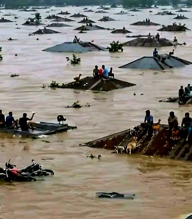 ভয়াবহ বন্যায় বিপর্যস্ত জনজীবন: ৫ জেলায় মৃত্যুর মিছিল, পানিবন্দি ১০ লাখ মানুষ