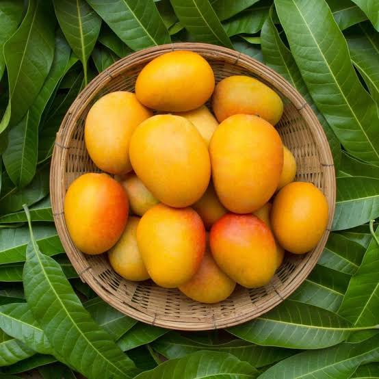 রঙ নয়, গন্ধ শুঁকে বুঝুন আম মিষ্টি না টক! জেনে নিন চেনার সহজ উপায়