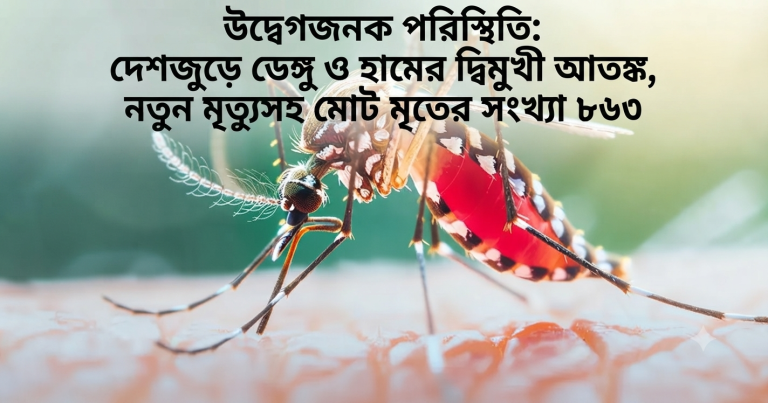 হাম ও ডেঙ্গুর দ্বিমুখী থাবা: ২৪ ঘণ্টায় আরও ৩ জনের মৃত্যু, মোট প্রাণহানি বেড়ে ৮৬৩